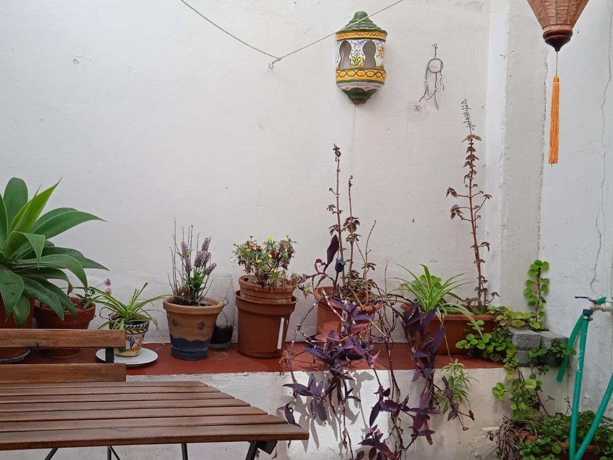 Appartement Selva La Bella. En El Corazon De Triana Séville
